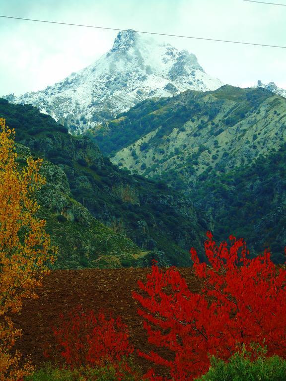 Apartamentos Turísticos Cumbres Verdes La Zubia  Bagian luar foto